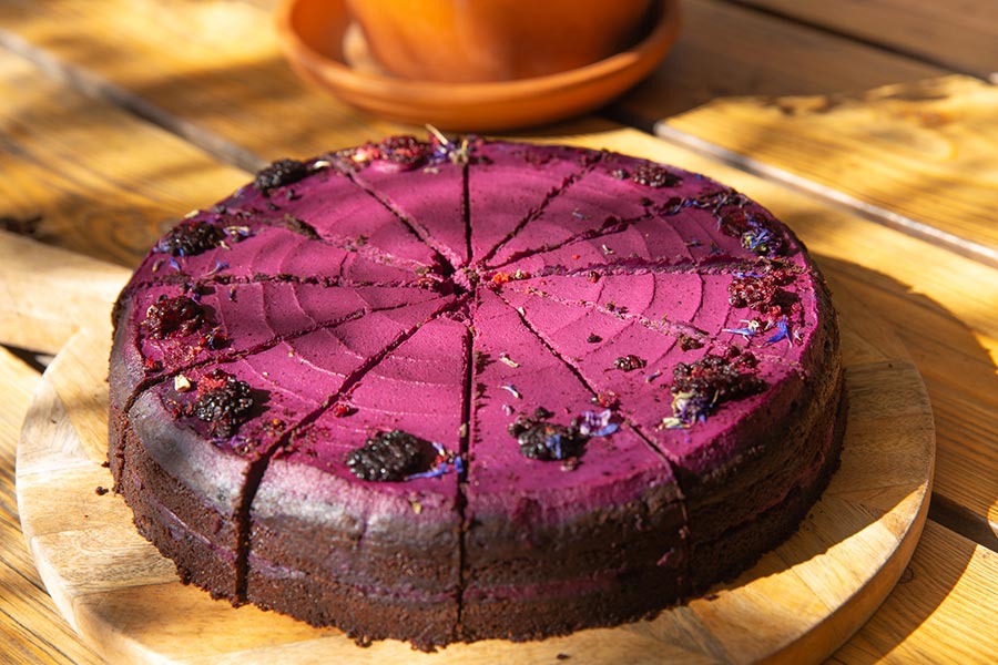 GT_SunnyTerrace-SmilingStaff6312